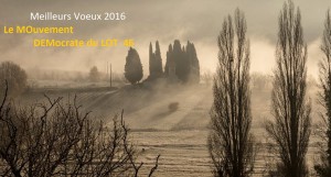 voeux2016